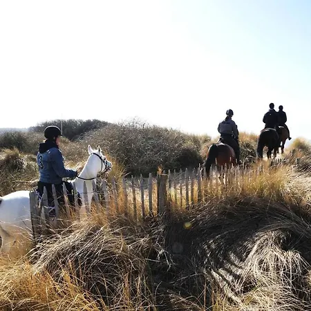 Leader - Casselbergh Residences Apartment
